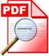 pdf file