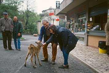 foto di Edmondo Zaccaria e Miriam Grego con un piccolo di lichi del Nilo allevato con il biberon, 1996